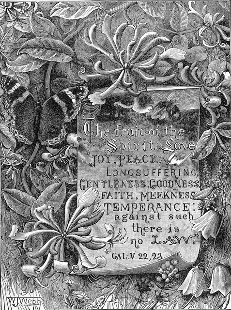 scan0006 But the fruit of the Spirit is love, joy, peace, longsuffering, gentleness, goodness, faith, 23 Meekness, temperance: against such there is no law Galatians 5:22-23