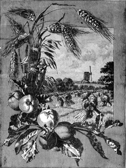 scan0008 You shall bring in the sheaf of the first fruits of your harvest - Leviticus 23:10