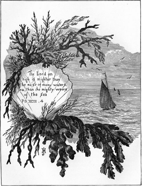 scan0009 The LORD on high is mightier than the noise of many waters, yea, than the mighty waves of the sea. - Psalm 93:4