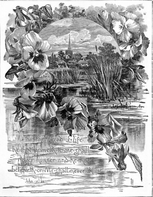 scan0028 I am the bread of life: he that cometh to me shall never hunger; and he that believeth on me shall never thirst. - John 6:35