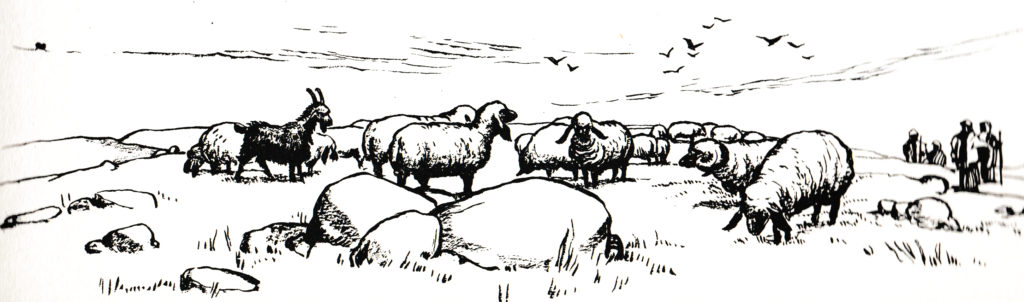 The shepherds left their flocks (Luke 2:15)