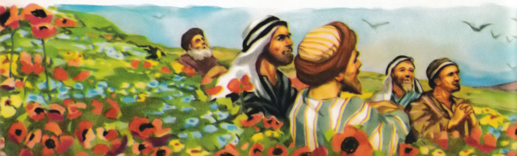 Consider the lilies (Luke 12:27)