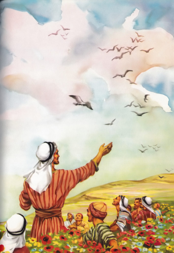 You are more valuable than sparrows (Luke 12:6-7)