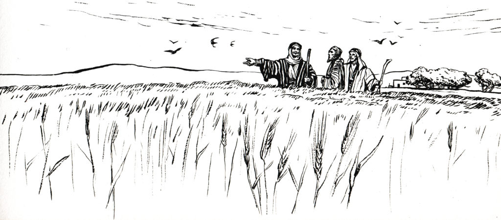 The fields are white to harvest (John 4:35)