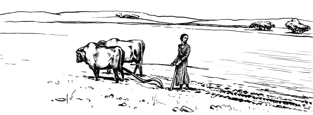You cannot plow looking backwards (Luke 9:62)