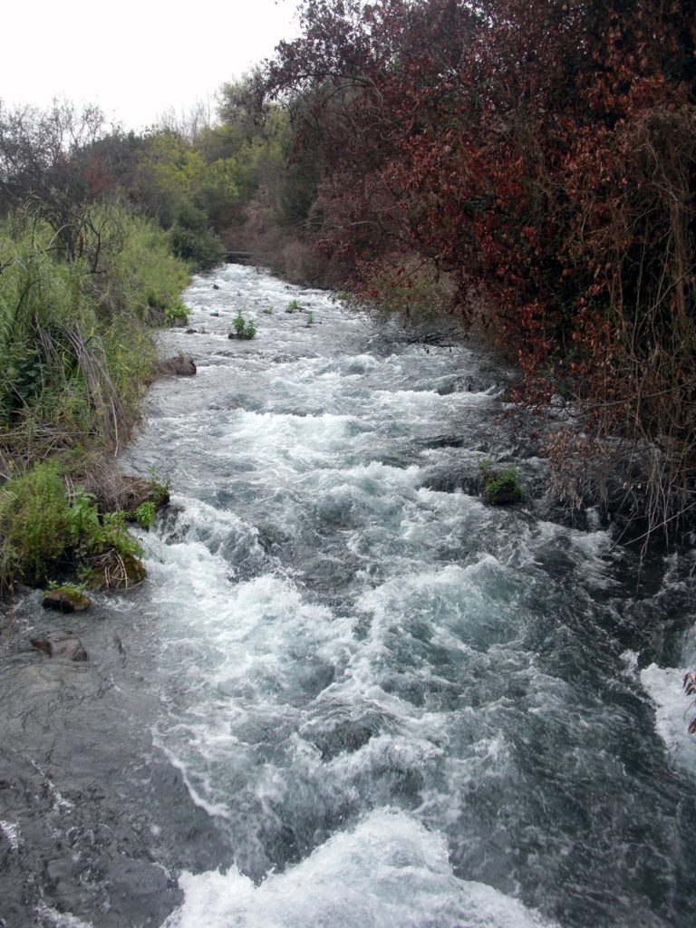 The Dan River