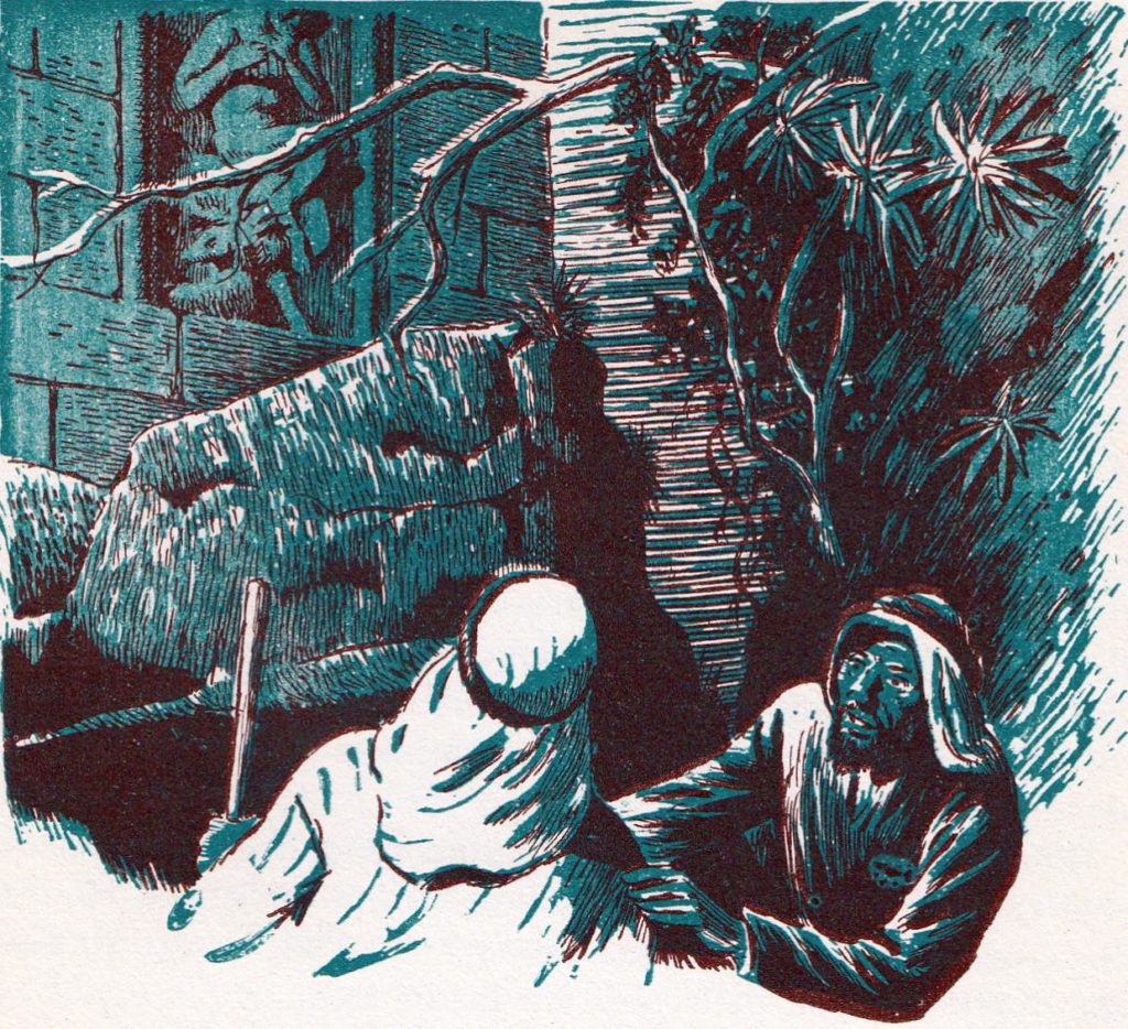 Who is the Son of Man? (Matthew 16:13)