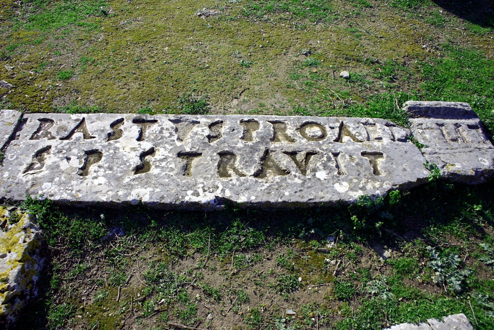 Erastus