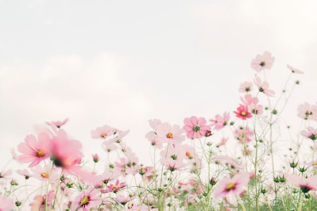 thoughts-of-spring-la-vista-church-of-christ